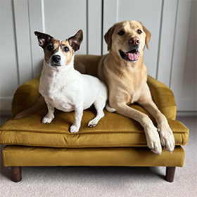 Pet sofas