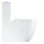 Close Coupled Rimless Toilet with Soft Close Seat - Grohe Euro