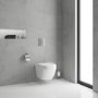 Wall Hung Rimless Toilet with Soft Close Seat Frame and Cistern - Grohe Solido Euro