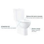 Close Coupled Rimless Toilet with Soft Close Seat - Grohe Bau