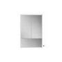 HIB Verve 60 - Double Door Mirrored Bathroom Cabinet with lights 600 x 900mm