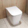 Back to Wall Rimless Toilet with Soft Close Seat - Albi