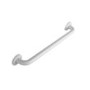 Stainless Steel Grab Rail 600mm