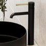 Black & Brass Tall Mono Basin Mixer Tap - Arissa