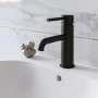 Black Mono Basin Mixer Tap - Arissa