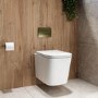 Albi Wall Hung Toilet 820mm Pneumatic Frame & Cistern & Brushed Brass Flush Plate