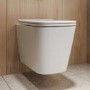 Albi Wall Hung Toilet 1160mm Mechanical WC Frame & Cistern & Chrome Mechanical Flush Plate