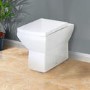 Back to Wall Toilet with Soft Close Seat - Tabor