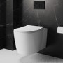 Wall Hung Toilet with Soft Close Seat Frame Cistern and Black Flush - Alcor