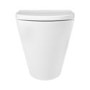 Back to Wall Rimless Toilet with Soft Close Seat - Newport