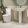 Modern Pedestal Basin 550mm - Newport