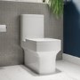 Close Coupled Rimless Toilet with Soft Close Seat - Ashford