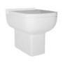 Back to Wall Toilet with Soft Close Seat - Seren