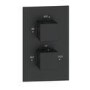 Black Single Outlet Thermostatic Mixer Shower Set with Hand Shower - Zana