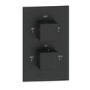 Black Dual Outlet Wall Mounted  Thermostatic Mixer Shower Set with Hand Shower - Zana