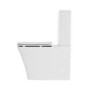 Close Coupled Rimless Toilet with Soft Close Seat - Boston