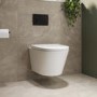 Wall Hung Toilet with Soft Close Seat Matt Black Mechanical Flush Plate with 1160mm Frame & Cistern - Newport