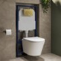 Wall Hung Toilet with Soft Close Seat Brushed Brass Mechanical Flush Plate with 1160mm Frame & Cistern - Newport