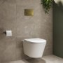 Wall Hung Toilet with Soft Close Seat Brushed Brass Pneumatic Flush Plate 1170mm Frame & Cistern - Newport