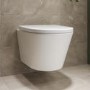 Wall Hung Rimless Toilet with Soft Close Seat - Newport