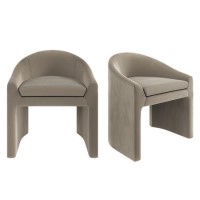 Set of 2 Upholstered Mink Velvet Curved Tub Dining Chairs - Kelsey