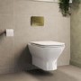 Palma Wall Hung Toilet 820mm Pneumatic Frame & Cistern & Brushed Brass Flush Plate