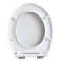 Back to Wall Rimless Toilet and Soft Close Seat - Ripley