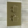 Brushed Brass Single Outlet Thermostatic Mixer Shower Set With Hand Shower- Zana