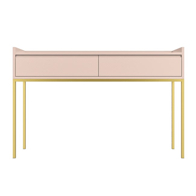 Small Pink Wooden Kids Desk with Storage - Zion