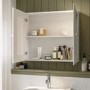 Double Door White Mirrored Bathroom Cabinet 667 x 600mm - Westbury