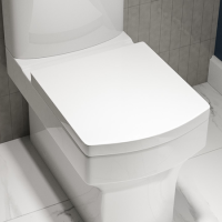 Square Wrap Around Toilet Seat - Better Bathrooms