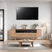 Cane Mango Wood 2 Drawers TV Cabinet - Valencia 