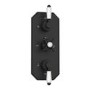 Black Traditional 2 Outlet Concealed Thermostatic Concealed Shower Valve with Triple Control - Cambridge