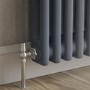 Reggio Anthracite Horizontal Double Column Traditional Radiator 300x605mm 1062 BTU - Cast Iron Style