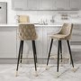 ALMOST PERFECT - Maddy Mink Velvet Bar Stool with Black Legs and Gold Tips