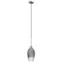 Silver Smoked Glass Cloche Pendant Light - Bloomfield