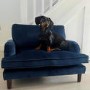 Pet Sofa Bed in Blue Velvet - Suitable for Dogs & Cats - Payton