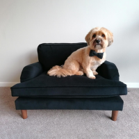 Pet Sofa Bed in Black Velvet - Suitable for Dogs & Cats