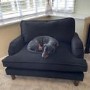 Pet Sofa Bed in Black Velvet - Suitable for Dogs & Cats