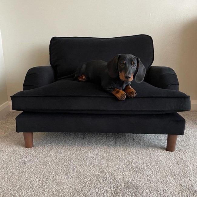 Pet Sofa Bed in Black Velvet - Suitable for Dogs & Cats