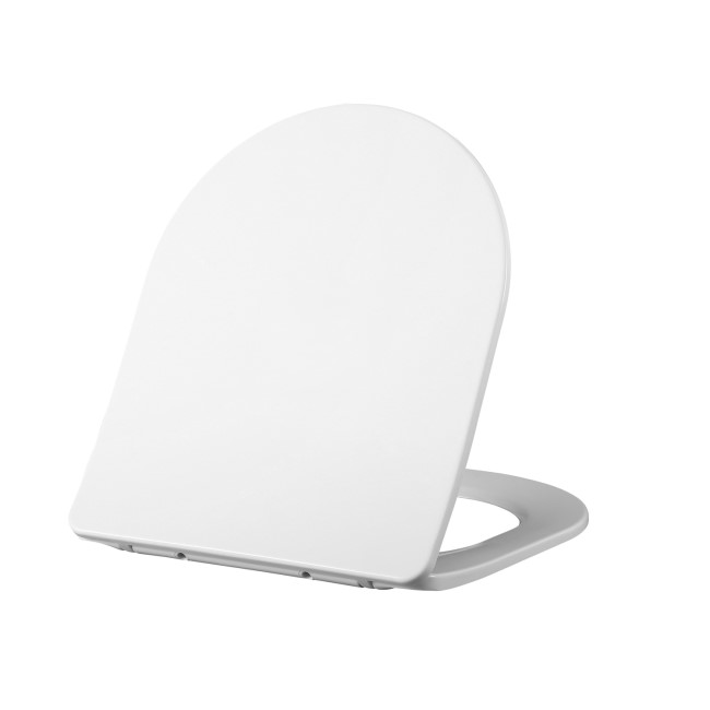 Back to Wall Rimless Toilet and Soft Close Seat - Roma