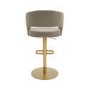 Curved Mink Matt Velvet Adjustable Swivel Bar Stool with Gold Base - Runa