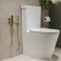 Brushed Brass Thermostatic Douche Shower Spray Kit - Arissa